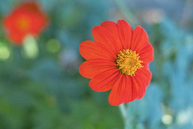 女排世俱赛开门红！朱婷贡献13分，科内3-0横扫奥兰多